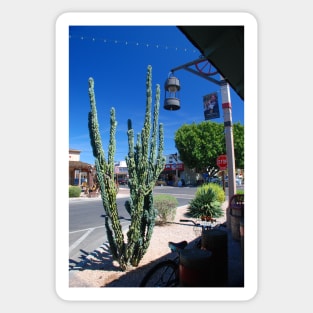 Old Town Cactus Sticker